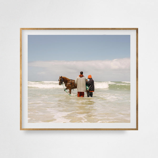 Horse in water, Western Cape (2018)