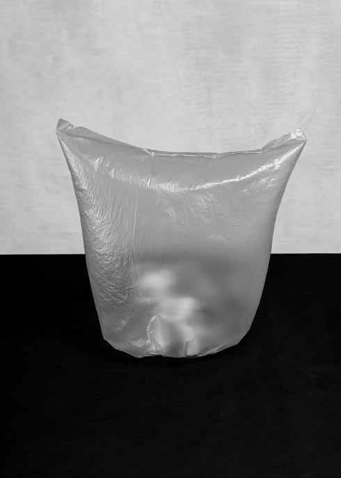 Photographic Mentorship Group Programme 2026 March Intake