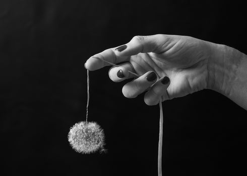 Photographic Mentorship Group Programme 2026 March Intake